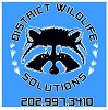 District Wildlife Solutions